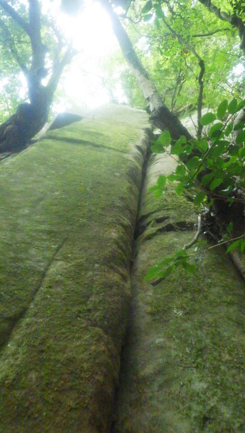 RIMG4748