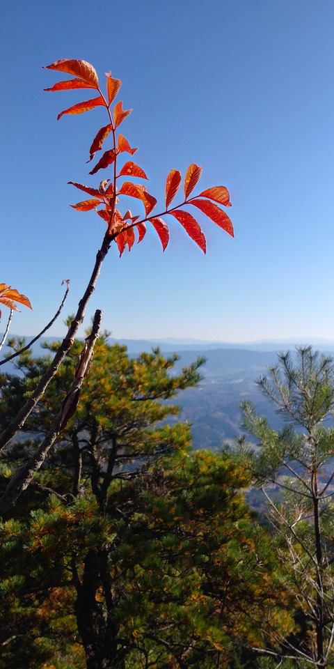 IMG01009_HDR