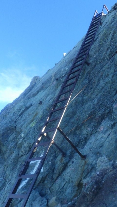 RIMG4319