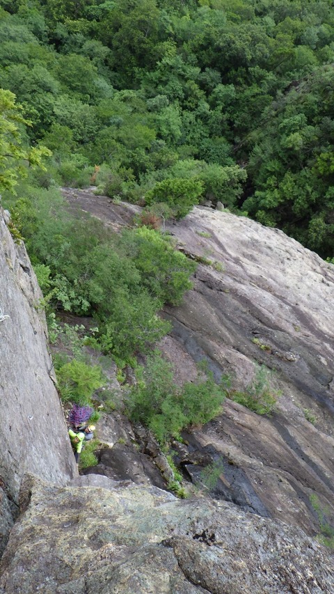 line_40833890304573