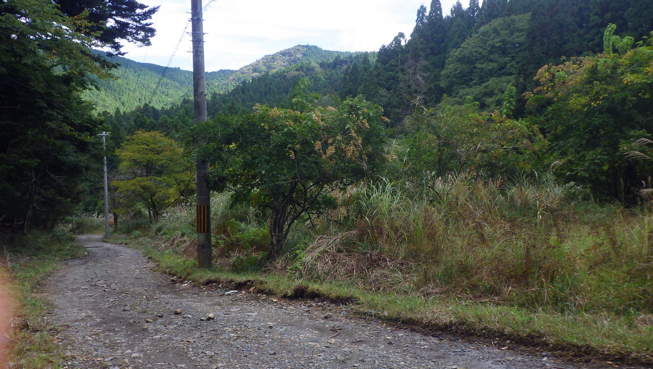 京都北山 テント泊登山 晴登雨読の登攀記