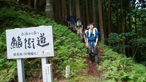 line_44158409362825