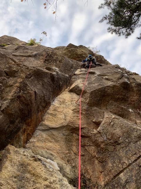line_64505183261298