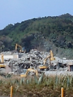 泥底から現れた「昭和の遺物」と外来種のいま。2026年、水抜き現場で目撃した日本の生態系シフトの最前線