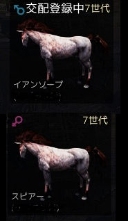 黒い砂漠 馬交配 8世代を振り返る オンラインゲームを研究しよう 黒い砂漠 黒い砂漠 馬交配 8世代を振り返る オンラインゲームを研究しよう 黒い砂漠