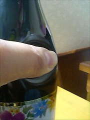 �ܥ���졼2009