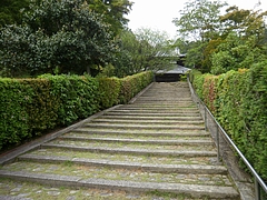 ���ԡ�������