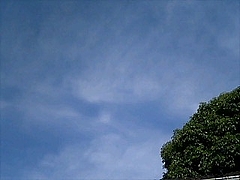 �����ζ�