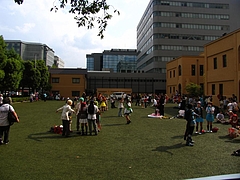 �ޥ󥬥ߥ塼������