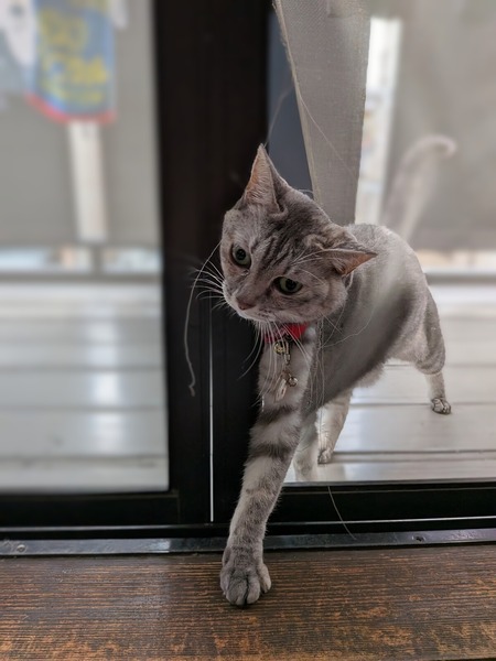 PXL_20251012_043516113~4