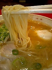 �����ɲ�