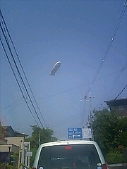 �����ζ�