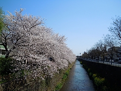 ���ԡ�ŷ����Τ����顣