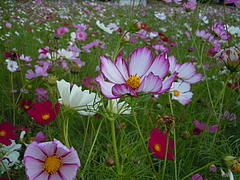 ������2010