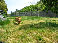 ɱϩ����ȥ��ѡ���