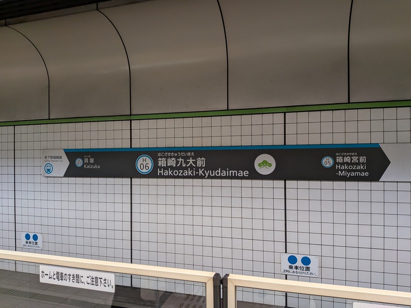 PXL_20251018_081810121