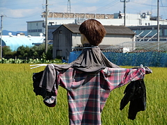 �����ݤá�����