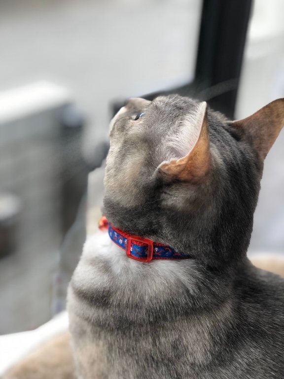 line_333910627915382