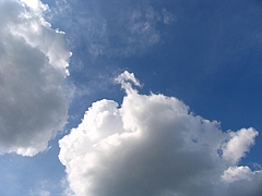 �����ζ�