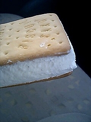 �ӥ����åȥ����