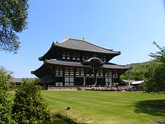 �����仺�������