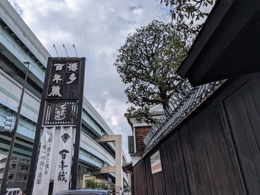 PXL_20251018_053147459