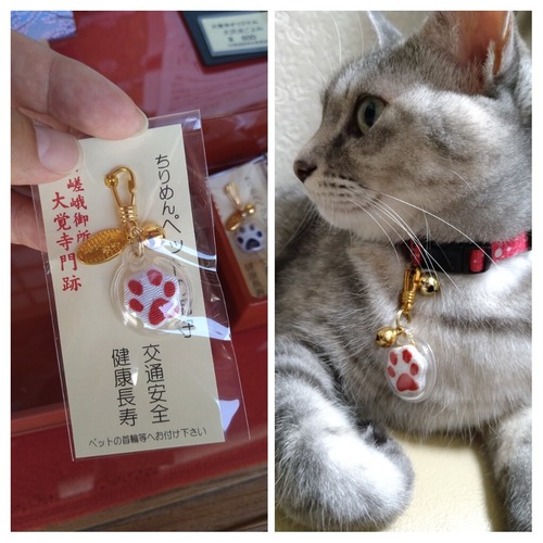 20211023_200543-COLLAGE