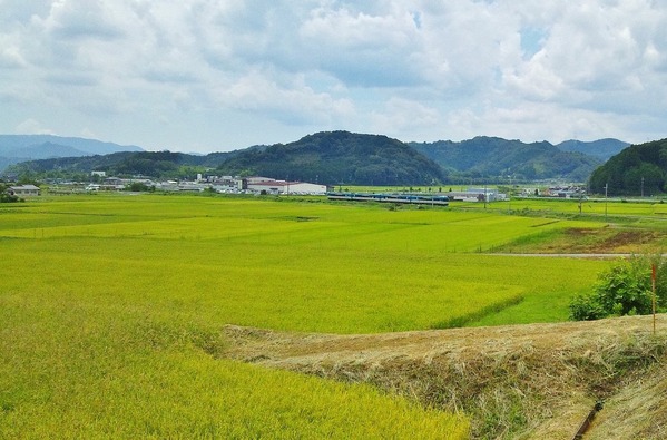 DSC_0982 - ���ԡ�