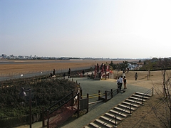 ��ð�������ѡ���