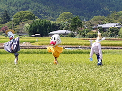 ���гݤ��Ǥ�������