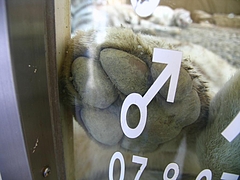 ɱϩ����ȥ��ѡ���