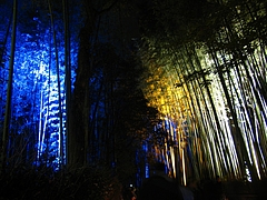 �����򻳲���ϧ