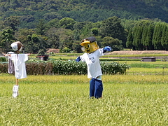 ������󡪥ȥ�å�������