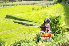 ���ҤΤ��Ф���