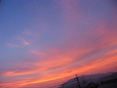 �����ζ�