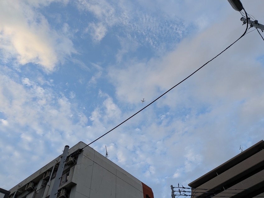 PXL_20251018_081507494