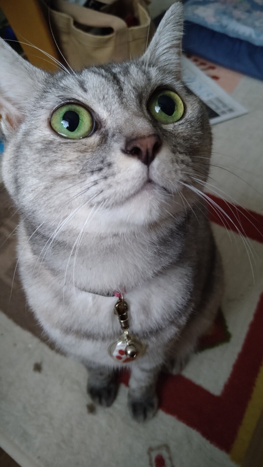 ダメダメ課長日記