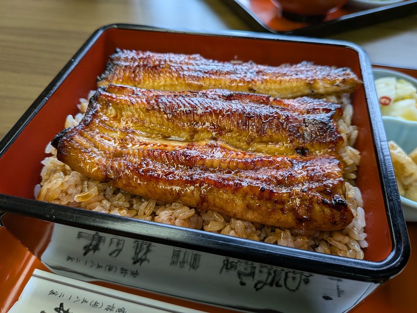 PXL_20251119_041259218