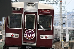 ��ޣ���������