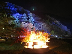 �����򻳡�����ϩ2009