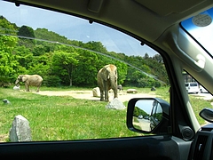 ɱϩ����ȥ��ѡ���