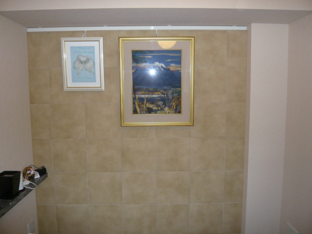 ニュージュラク ｎｊ６ 金茶 須賀が徹 我流エコカラットマニュアル