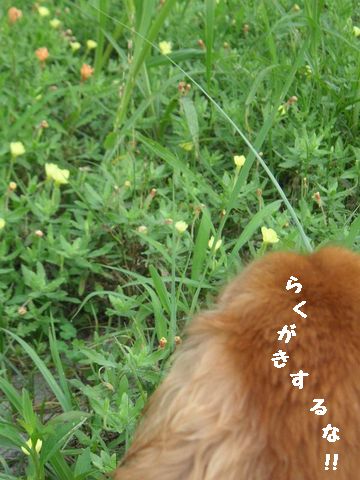 �����������ޤˡ�