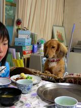 �����ʡ�