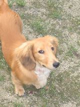 �������ʤʤ�