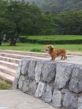 716�ȹ����