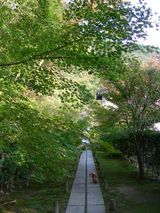 ���֤����͡�����