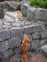 �ͤ���������