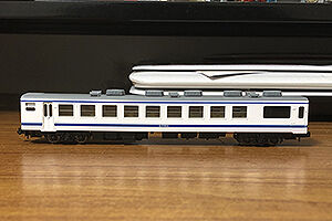 マイクロエース》わたらせ渓谷鐵道 わ01形「サロン・ド・わたらせ