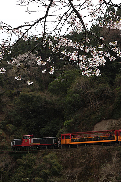 嵯峨野観光鉄道のDE10が・・・・・・・・ : DDパラダイス